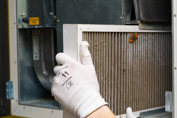 Best Local Air Duct Cleaning Services  in Buckner, KY